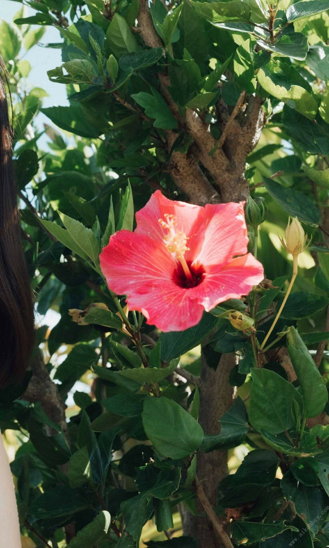 十味寫真集「熱視線」 週プレ PHOTO BOOK (64P)-第1章-图片13