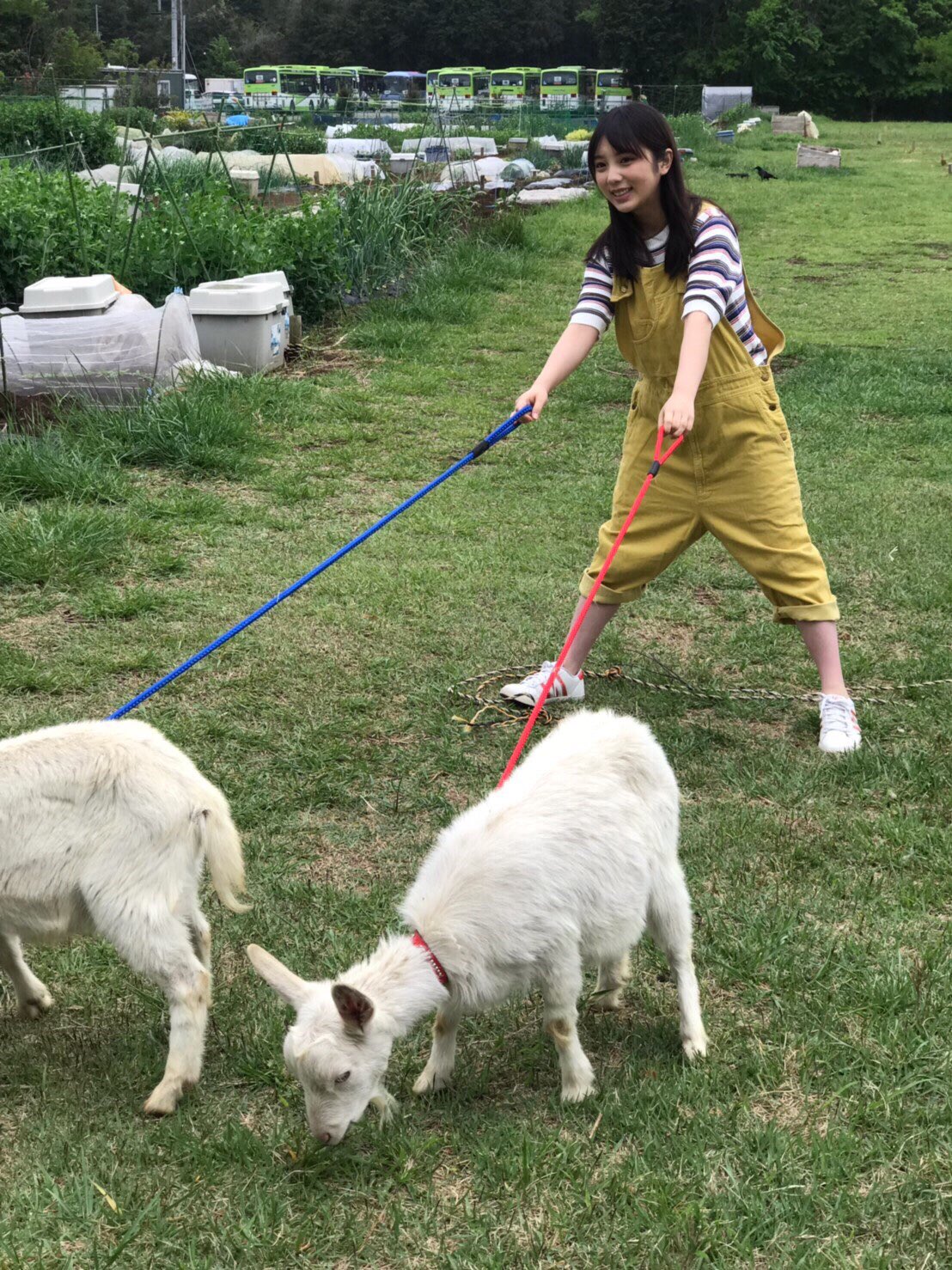 與田祐希 FLASHスペシャル グラビアBEST2019年初夏號-第1章-图片3