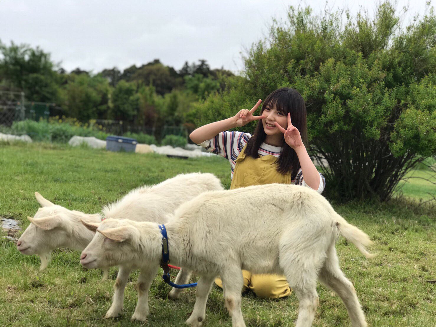 與田祐希 FLASHスペシャル グラビアBEST2019年初夏號-第1章-图片4