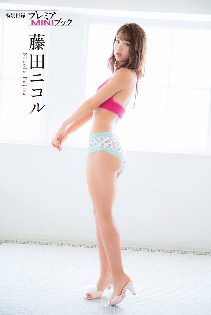 藤田ニコル-第1章-图片17