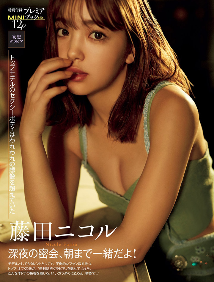 藤田ニコル-第1章-图片26