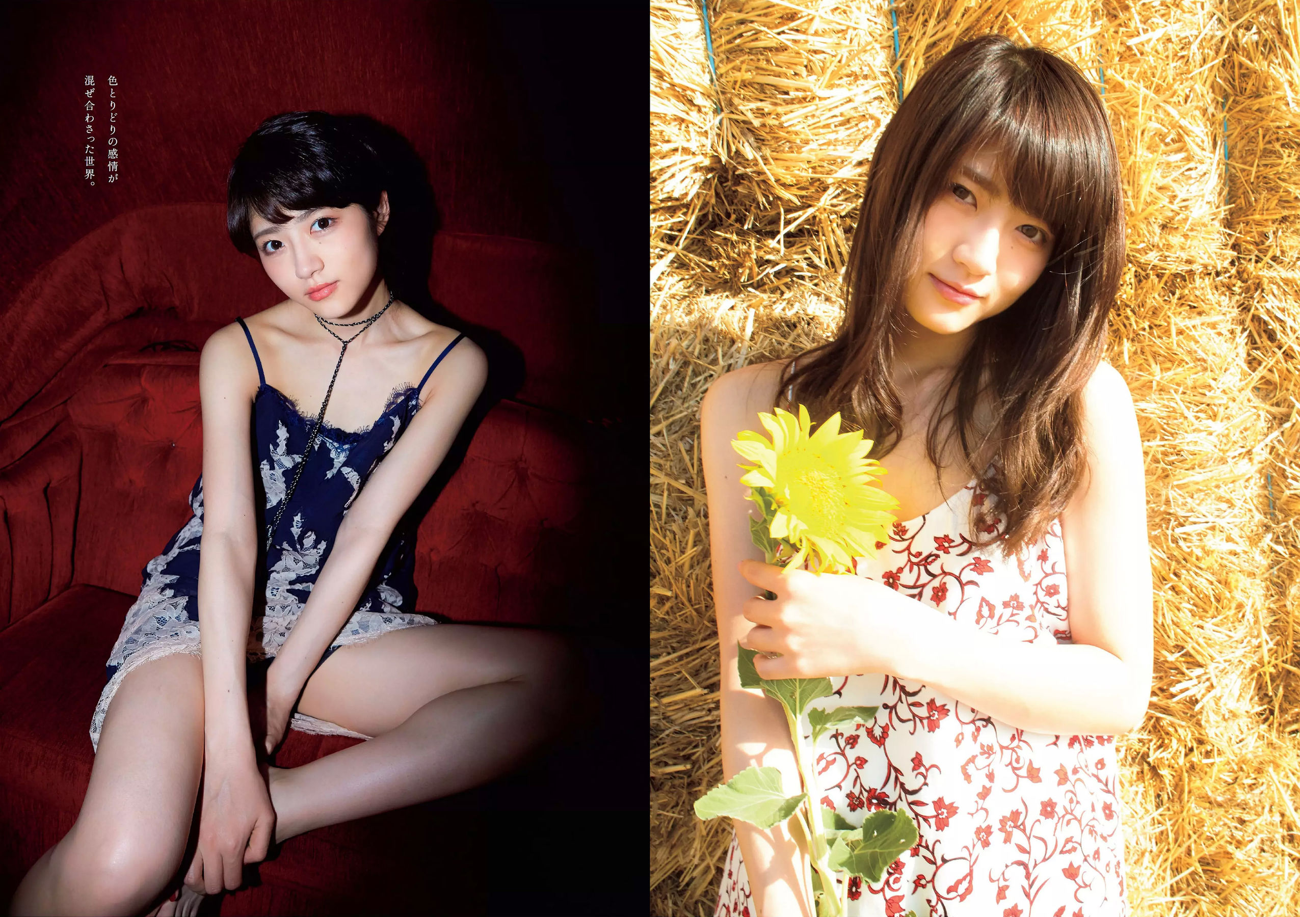 Weekly Playboy 2017年No.47 橋本マナミ 安藤咲桜 高田夏帆 若月佑美 鈴木友菜 園都 黒瀧まりあ-第1章-图片13