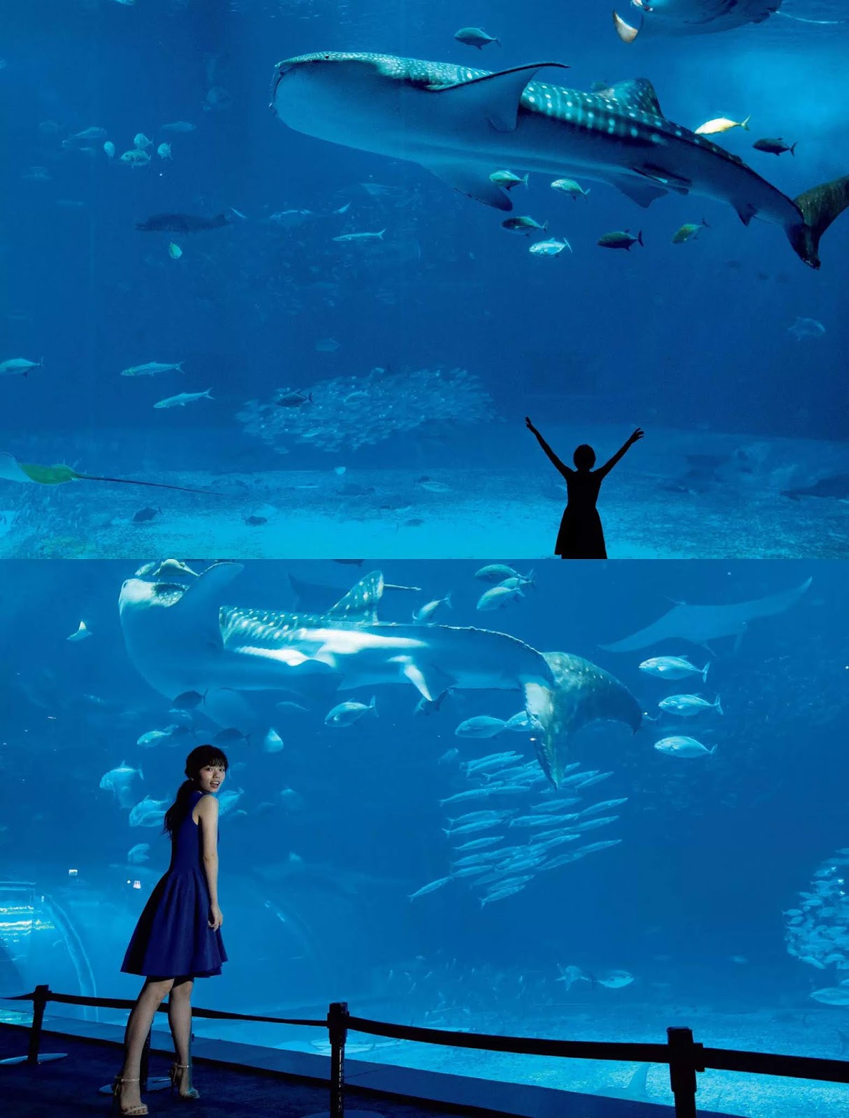 Fuka Koshiba 小芝風花, FLASH 2019.01.01 (フラッシュ 2019年01月01日號)-第1章-图片10