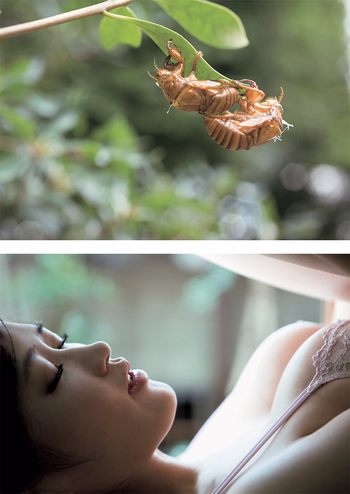 【寫真】葉加瀬麻衣從韓國回歸再秀豐滿G奶及誘惑表情 (24P)-第1章-图片23