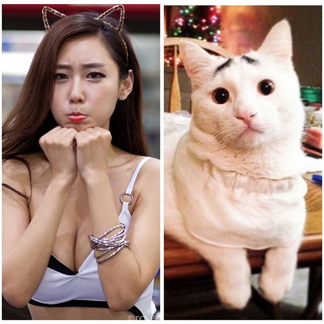 韓國巨乳車模 꽃태희-第1章-图片16