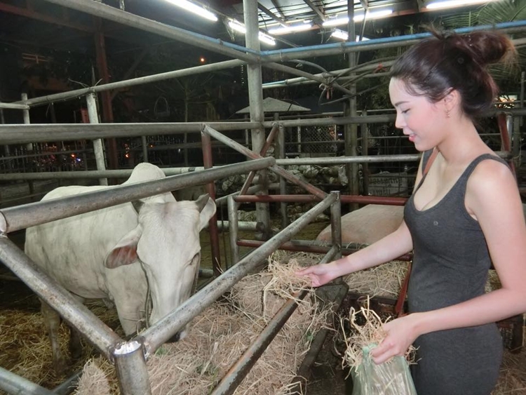 曼谷甜美傻大姊系列 Parama Kwanchang-第1章-图片16