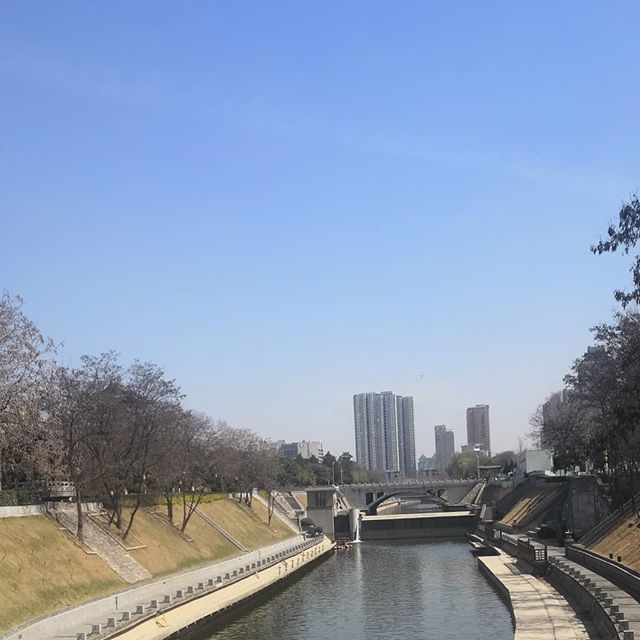 阿碩小丸子 露出性感美腿辣死人 巨乳晃的你心神不寧!-第1章-图片7