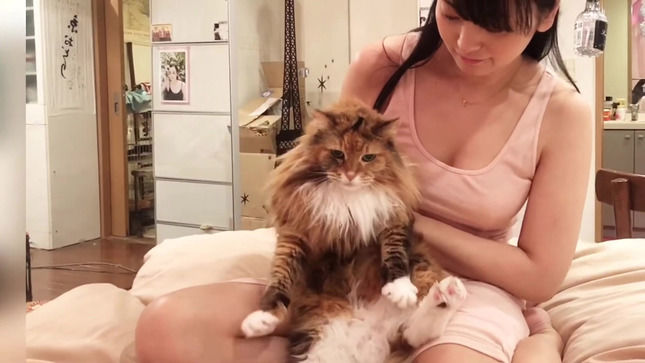 下輩子一定要當貓…用胸部磨蹭太舒服了吧><～脊山麻理子-第1章-图片10