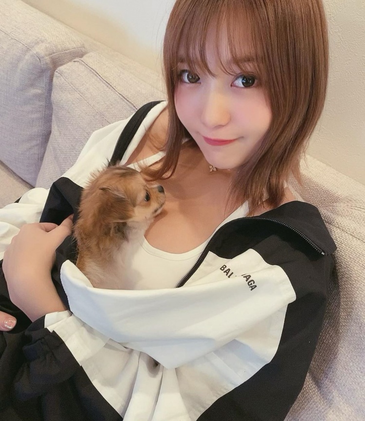 狗狗窩進正妹嫩胸