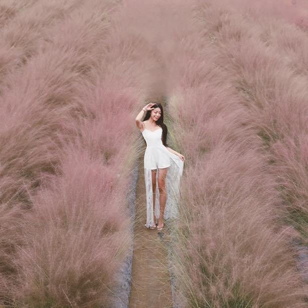 氣質仙女「張馨予 妍妍兒」超細緻腰間搭上一雙大美腿 抖音瘋傳的撩人美姿就是她！-第1章-图片3