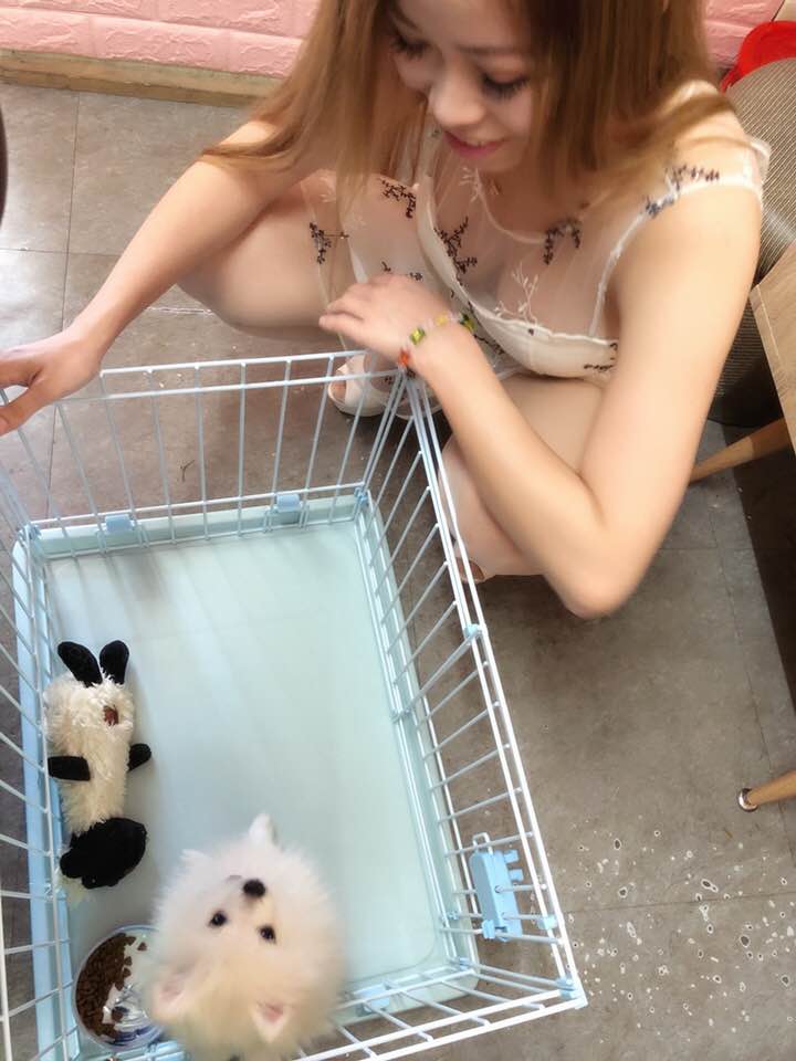 Online collection by JinChen2of3-第1章-图片28