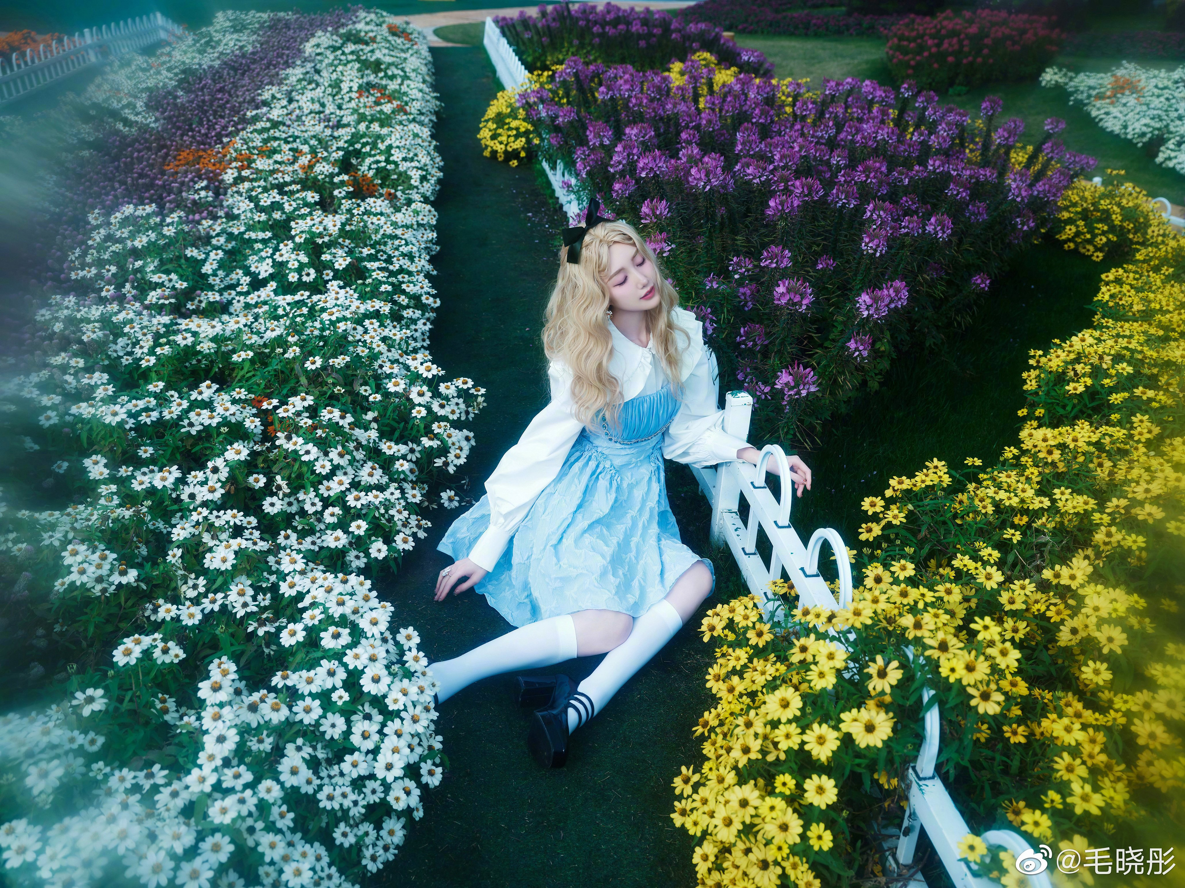 愛麗絲夢遊仙境—毛曉彤[套圖]-第1章-图片4