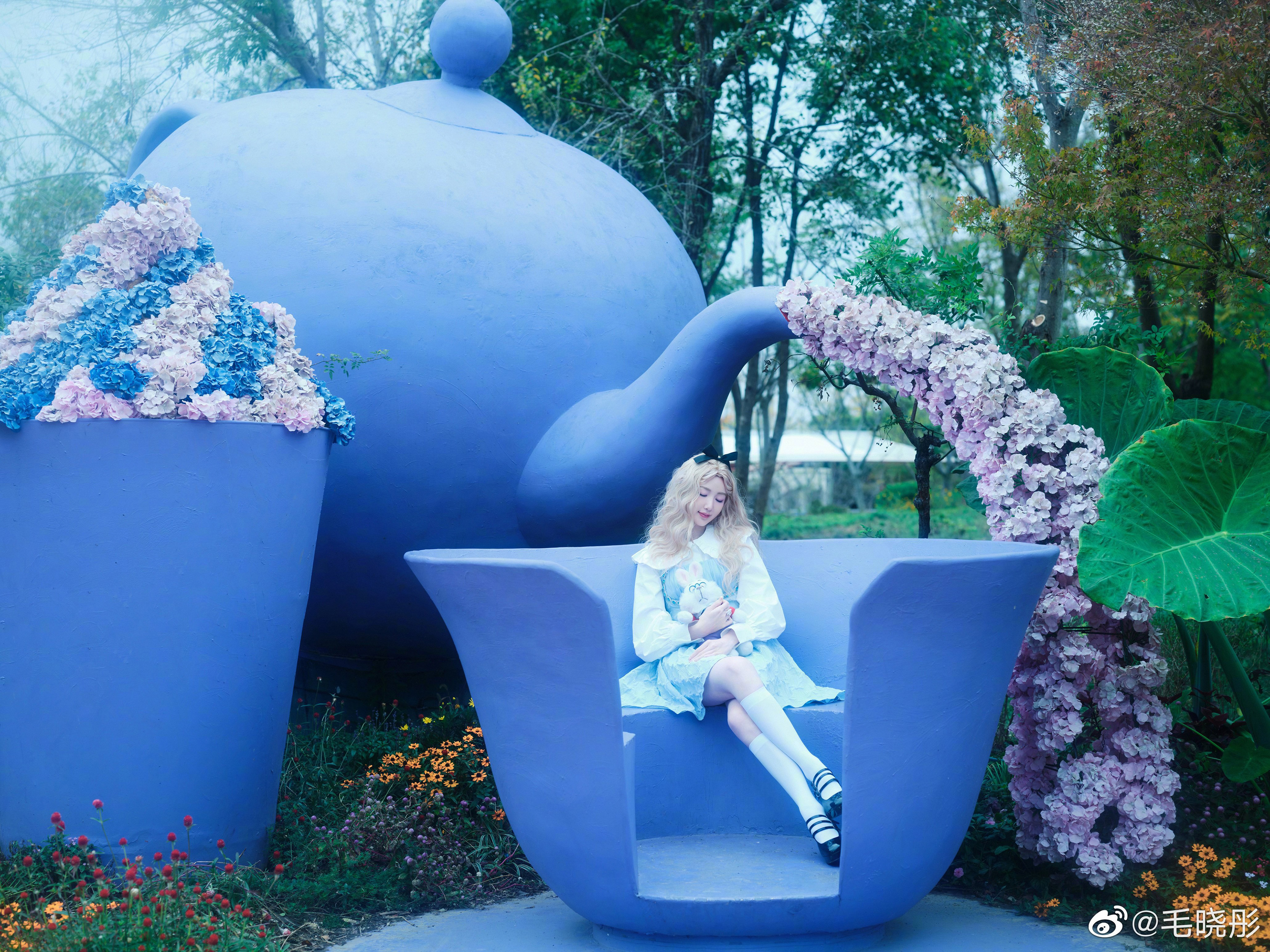 愛麗絲夢遊仙境—毛曉彤[套圖]-第1章-图片12