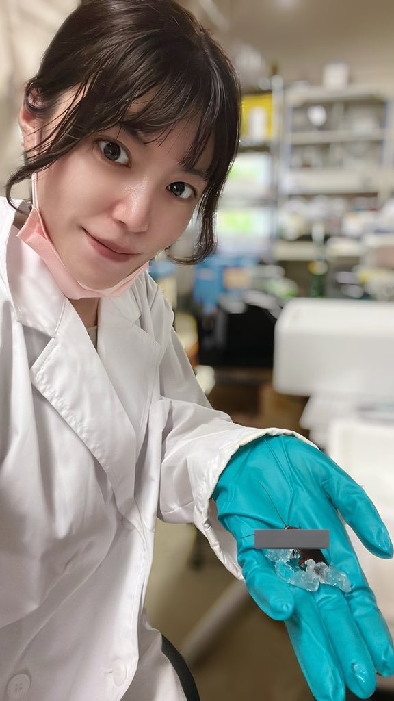 擁有G罩杯！研究蟑螂的美女博士生Reina下一秒化身長腿嫩胸尤物！-第1章-图片1