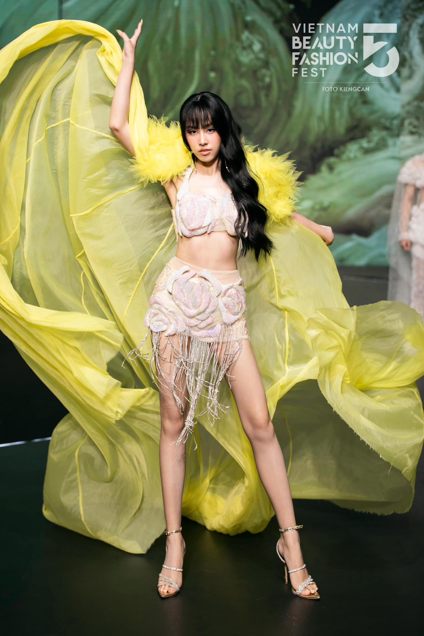 Lê Nguyễn Ngọc Hằng越南洲際小姐-第1章-图片13