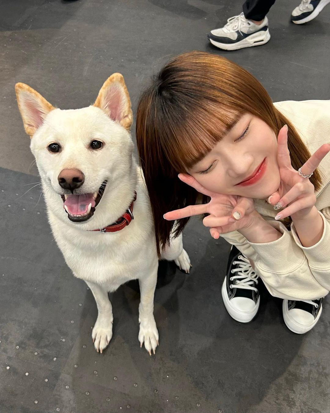 氣質美女「邱品涵」超高顏值 笑起來讓人瞬間戀愛-第1章-图片3