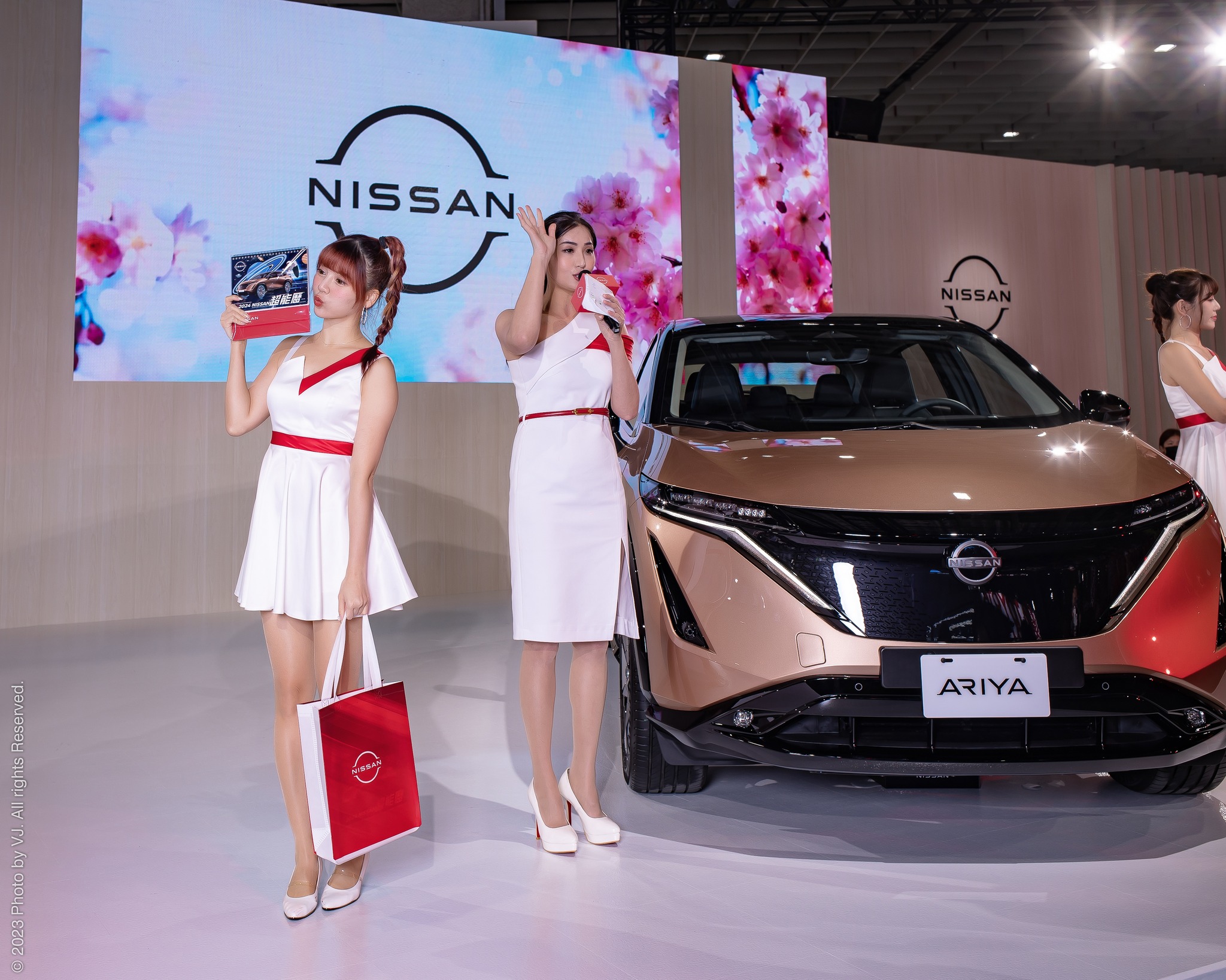 The network collects the new Nordic car exhibition in 2023.-第1章-图片7