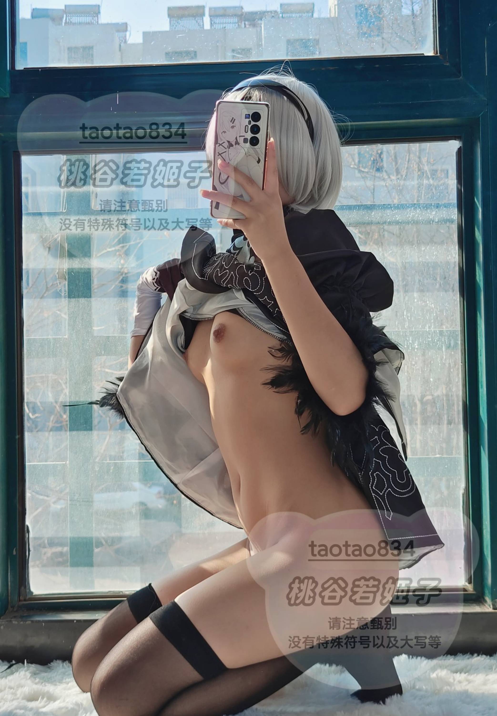 Internet collection series Tiger Tiger Twitter private shoot large scale VIP welfare post 1273P-第1章-图片33